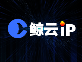 鲸云IP-使用教程